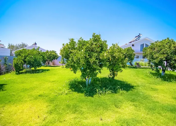 Villa Plaja Yakin Lueks