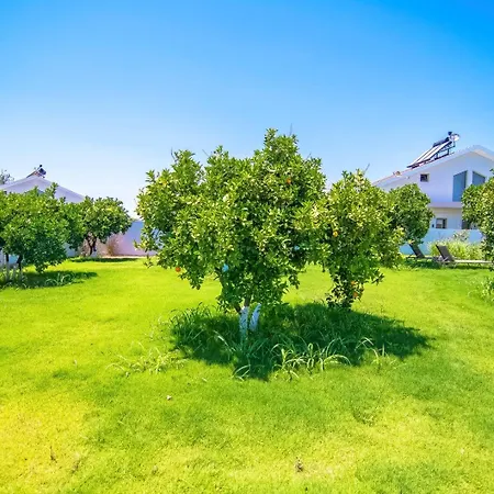 Villa Plaja Yakin Lueks